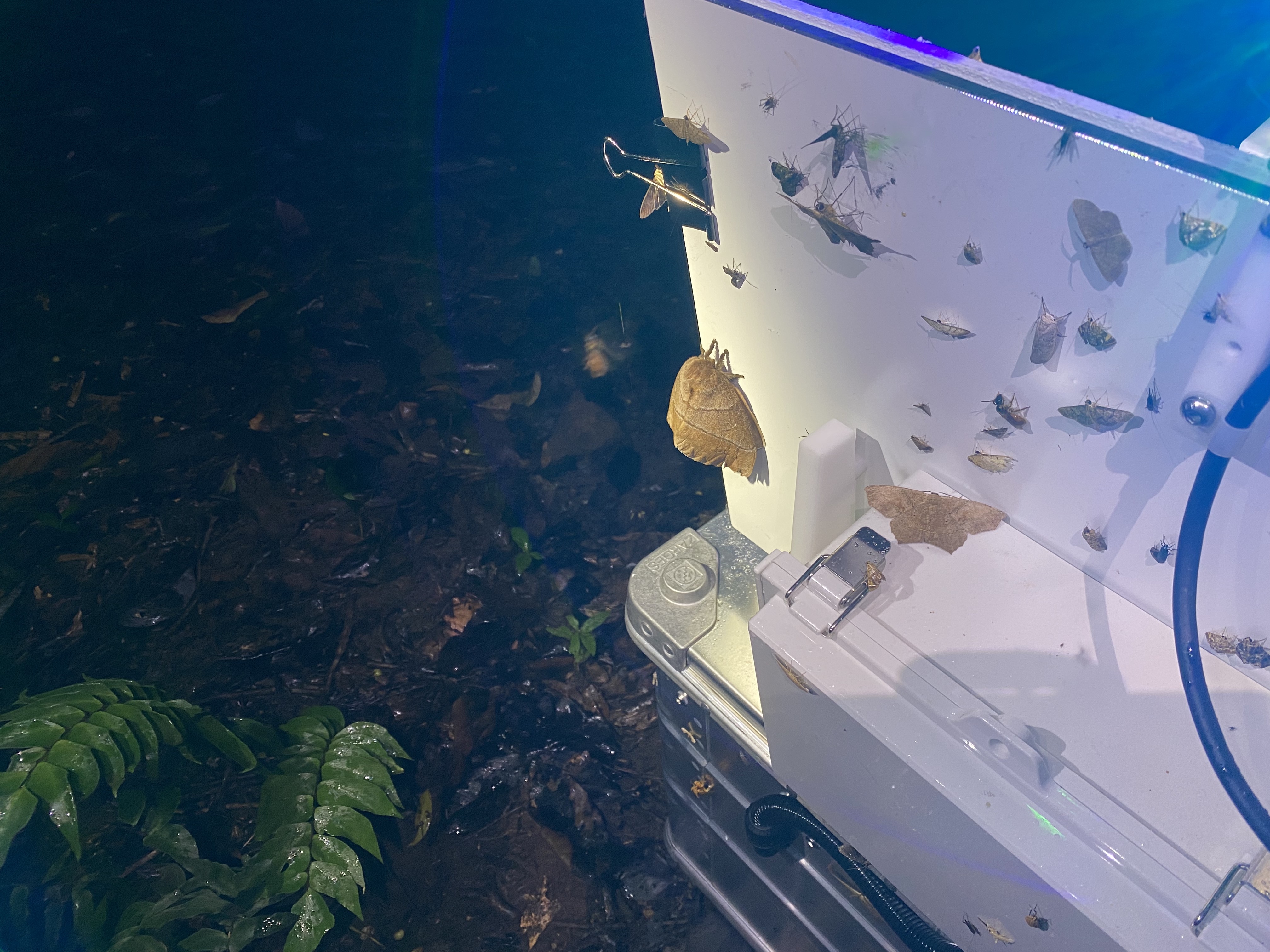 Barro Colorado Island