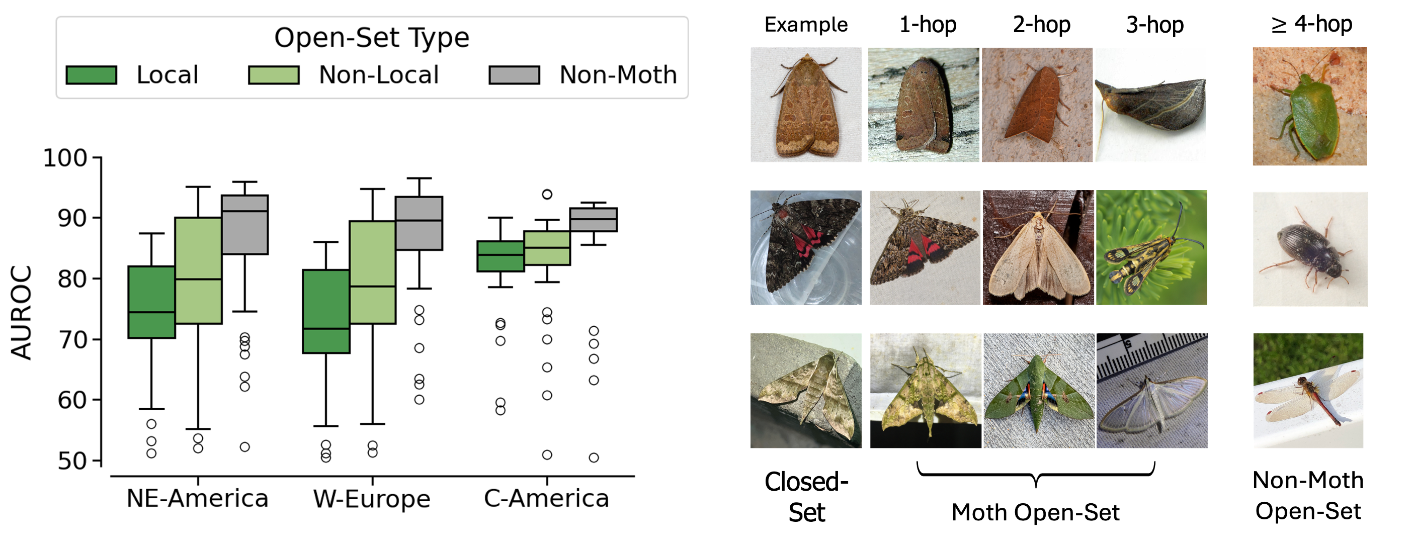 Dataset overview of Open-Insect